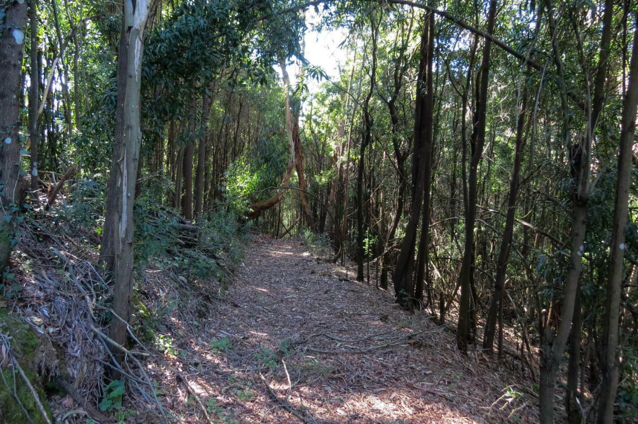 הוילה מסאו פריו Quinta Sao Jose - Museu Do Triciclo מראה חיצוני תמונה